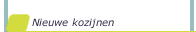 Nieuwe kozijnen